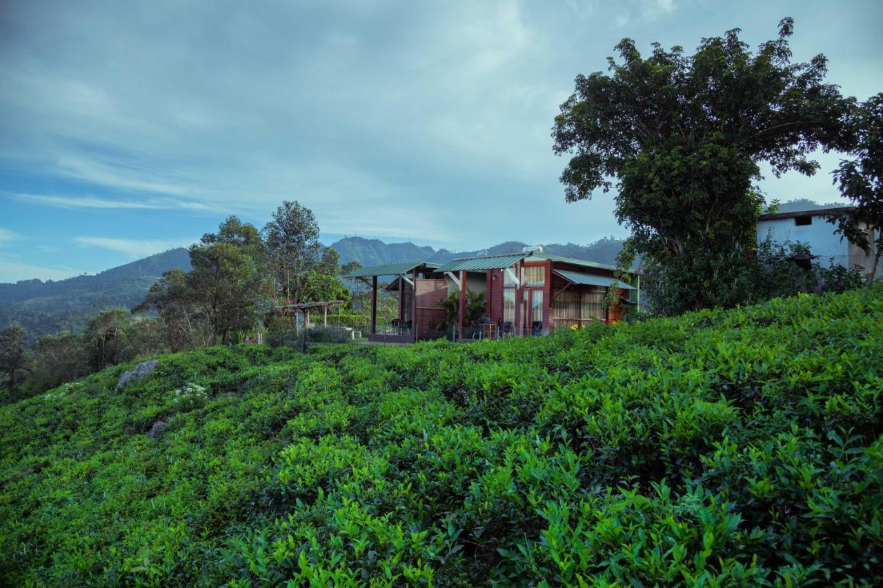 Cool Mount Resort เอลลา ภายนอก รูปภาพ